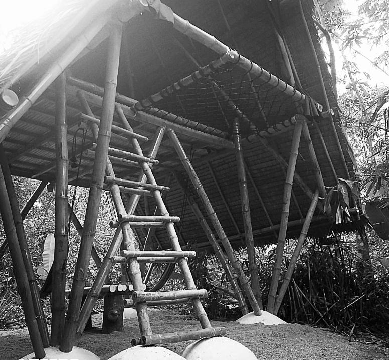 Ecocio Jungle Hostel Coron Exterior foto